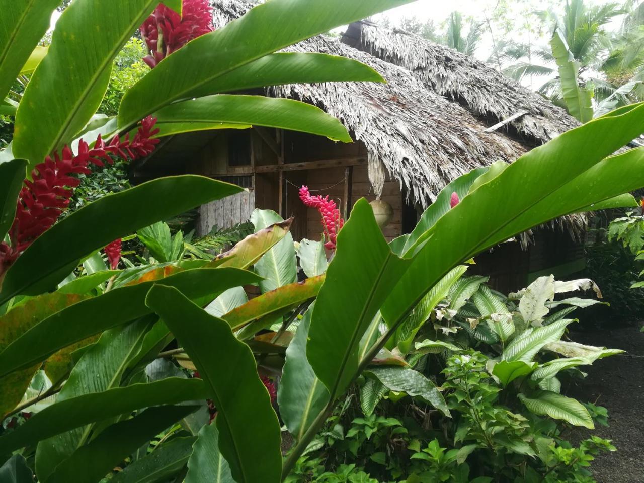 Posada Villamaga El Valle  Buitenkant foto